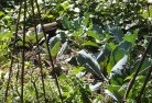 Badgerys Creekorganic-gardening-3.jpg; ?>