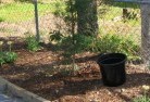 Badgerys Creekorganic-gardening-6.jpg; ?>