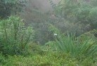 Badgerys Creekorganic-gardening-8.jpg; ?>