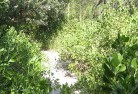 Badgerys Creeksustainable-landscaping-16.jpg; ?>